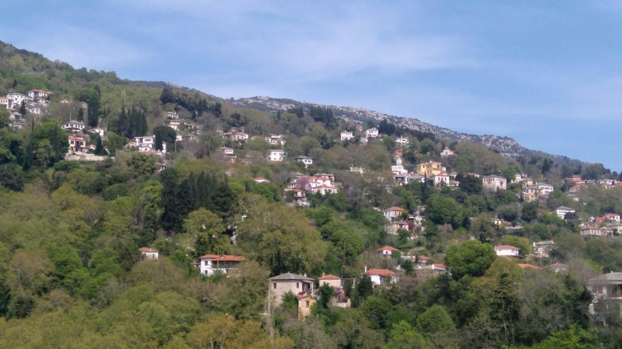 Milies Historic Chalet Pelion Miléai Exteriér fotografie